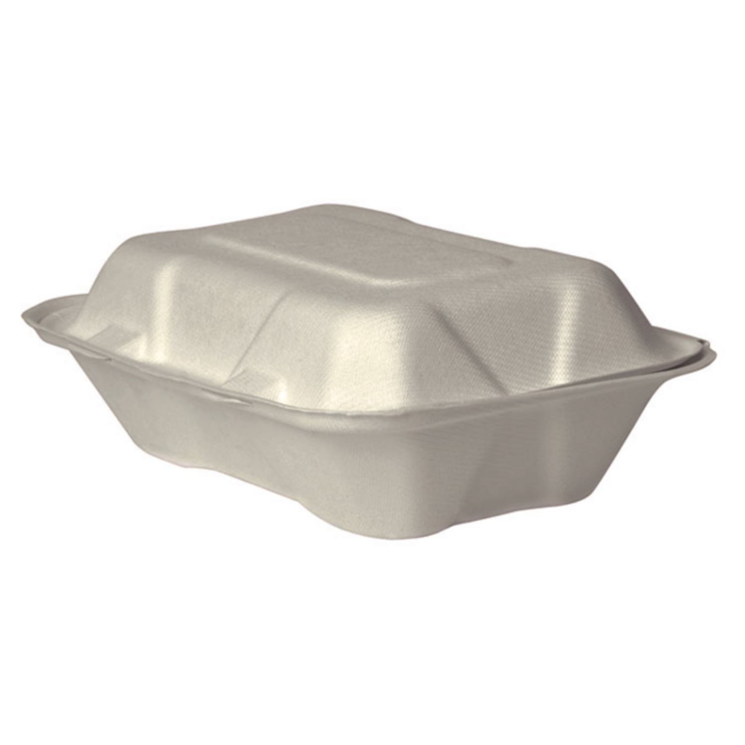 Container, Bagasse, 9x white 1